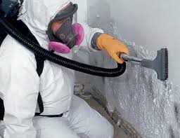 Mold Removal for HVAC Installations in Bryson City, NC